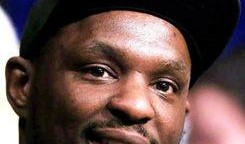 拳王怀特最新爆料,最新动态与未来计划曝光！”